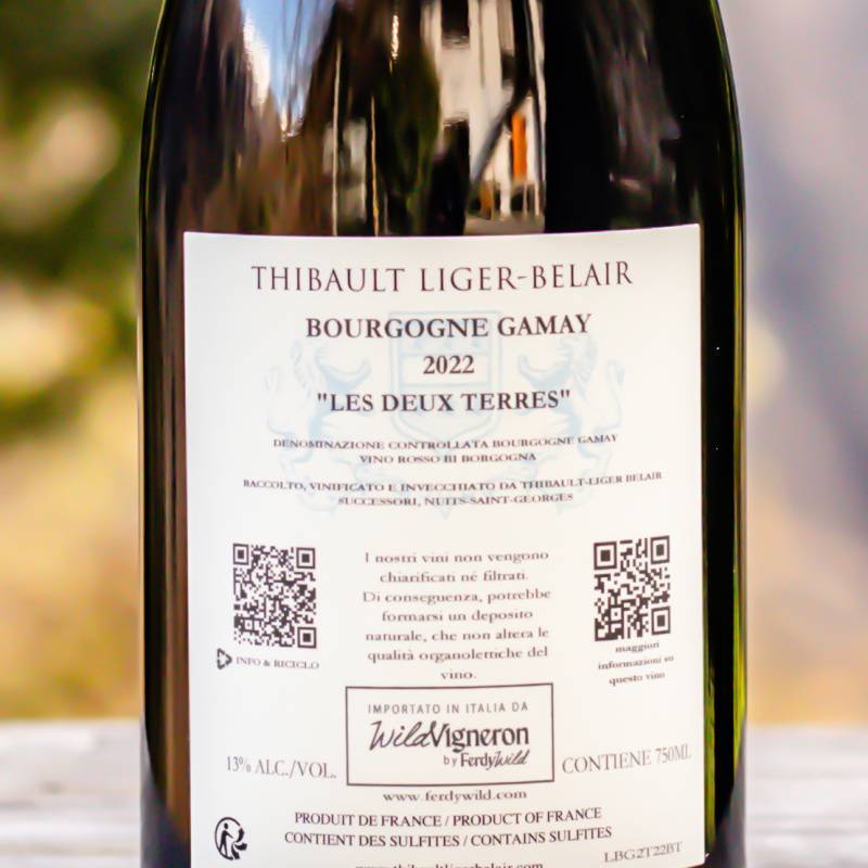 Bourgogne Gamay Les Deux Terres 2022