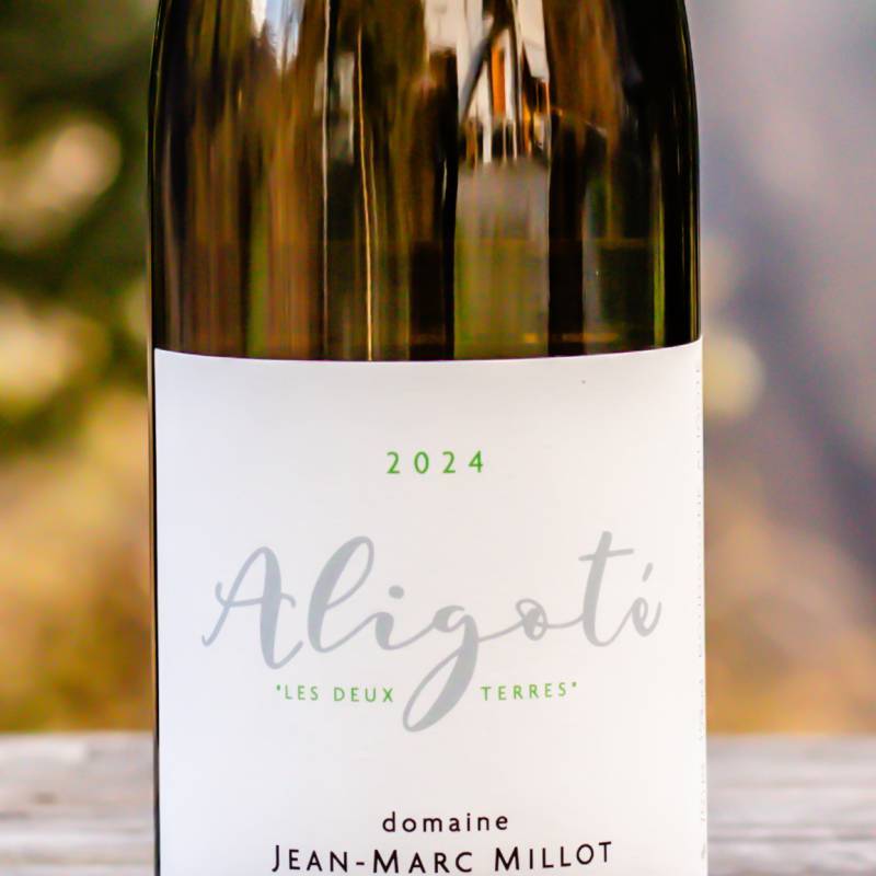 Bourgogne Aligote 2024