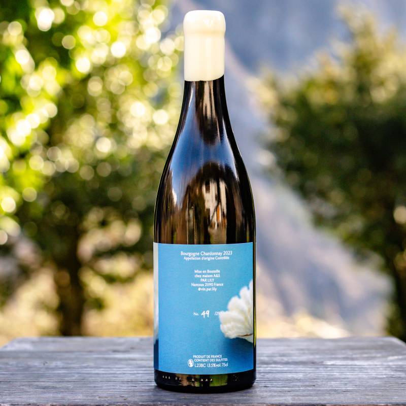 Bourgogne Chardonnay 2023