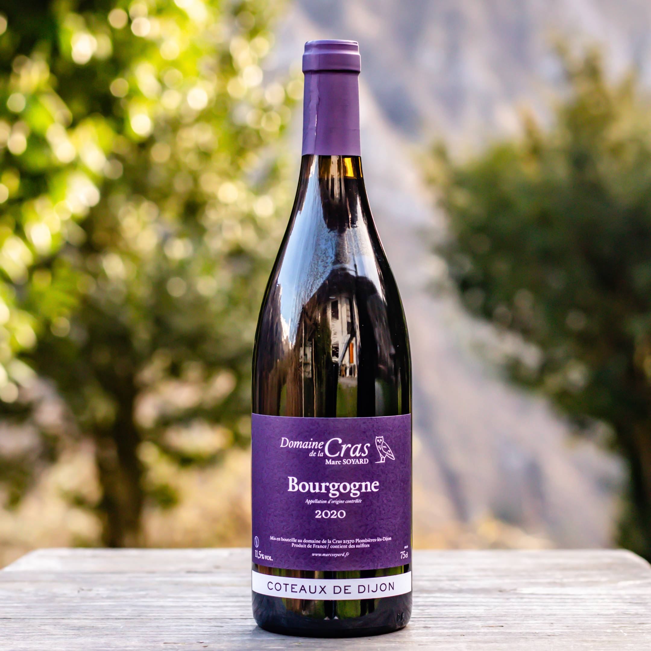 Domaine de la Cras Marc Soyard Bourgogne rouge