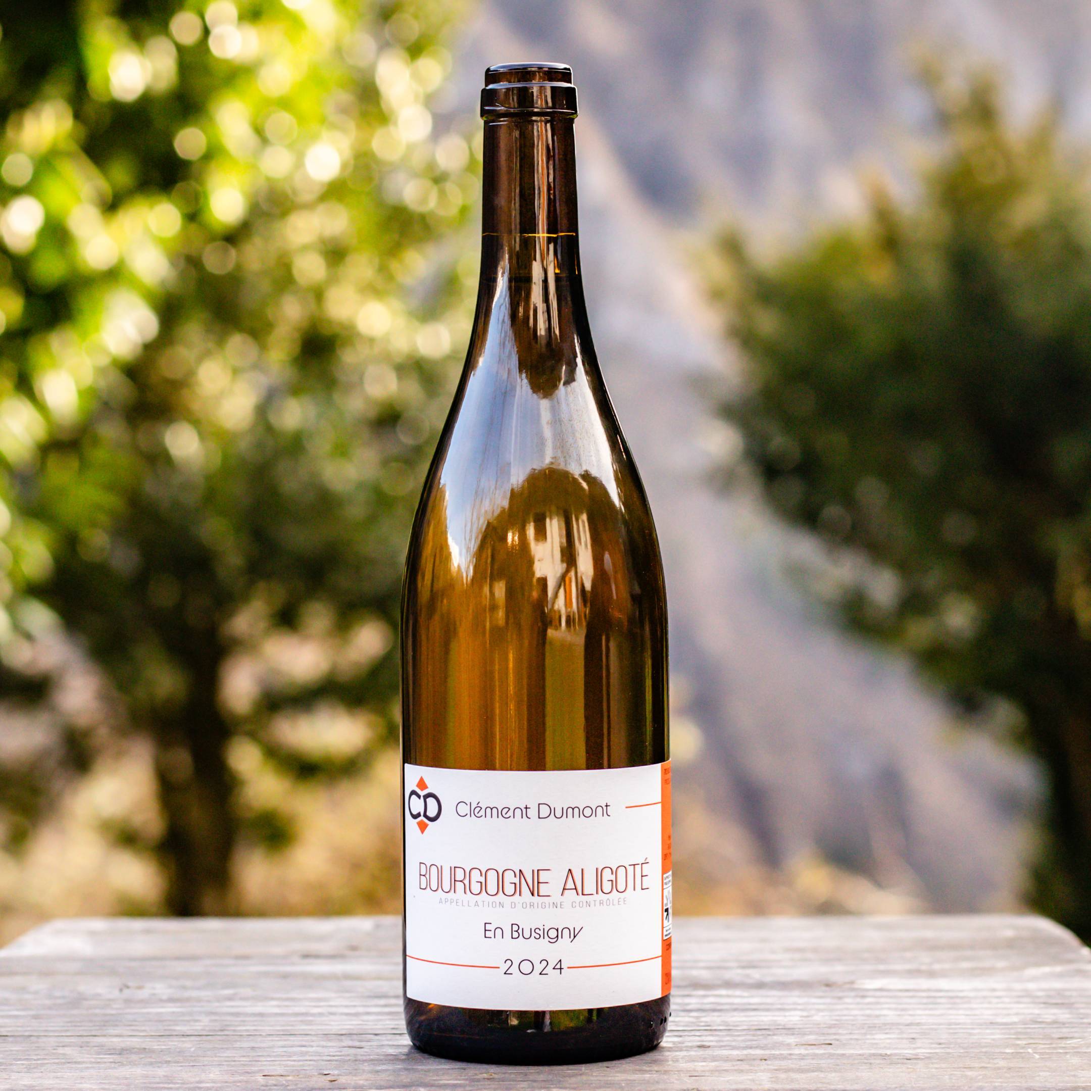 Clement Dumont Bourgogne Aligote En Busigny