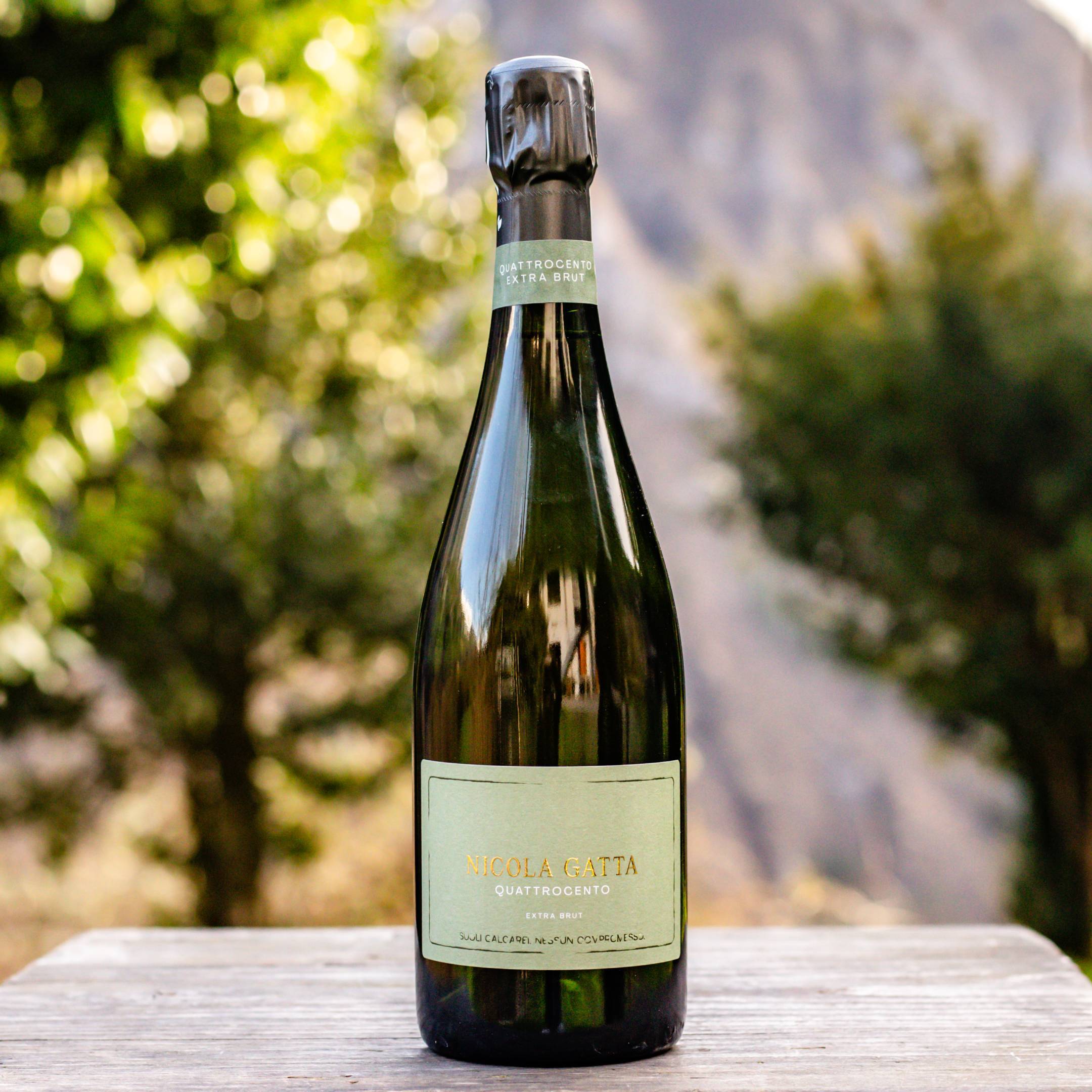 Nicola Gatta Quattrocento