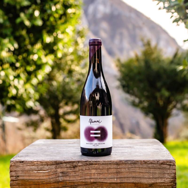 Savigny les Beaune bio 1er Cru 2023