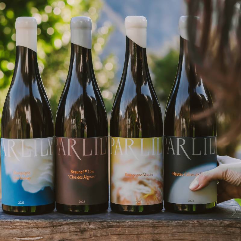 Beaune 1er Cru Clos des Aigrots 2023