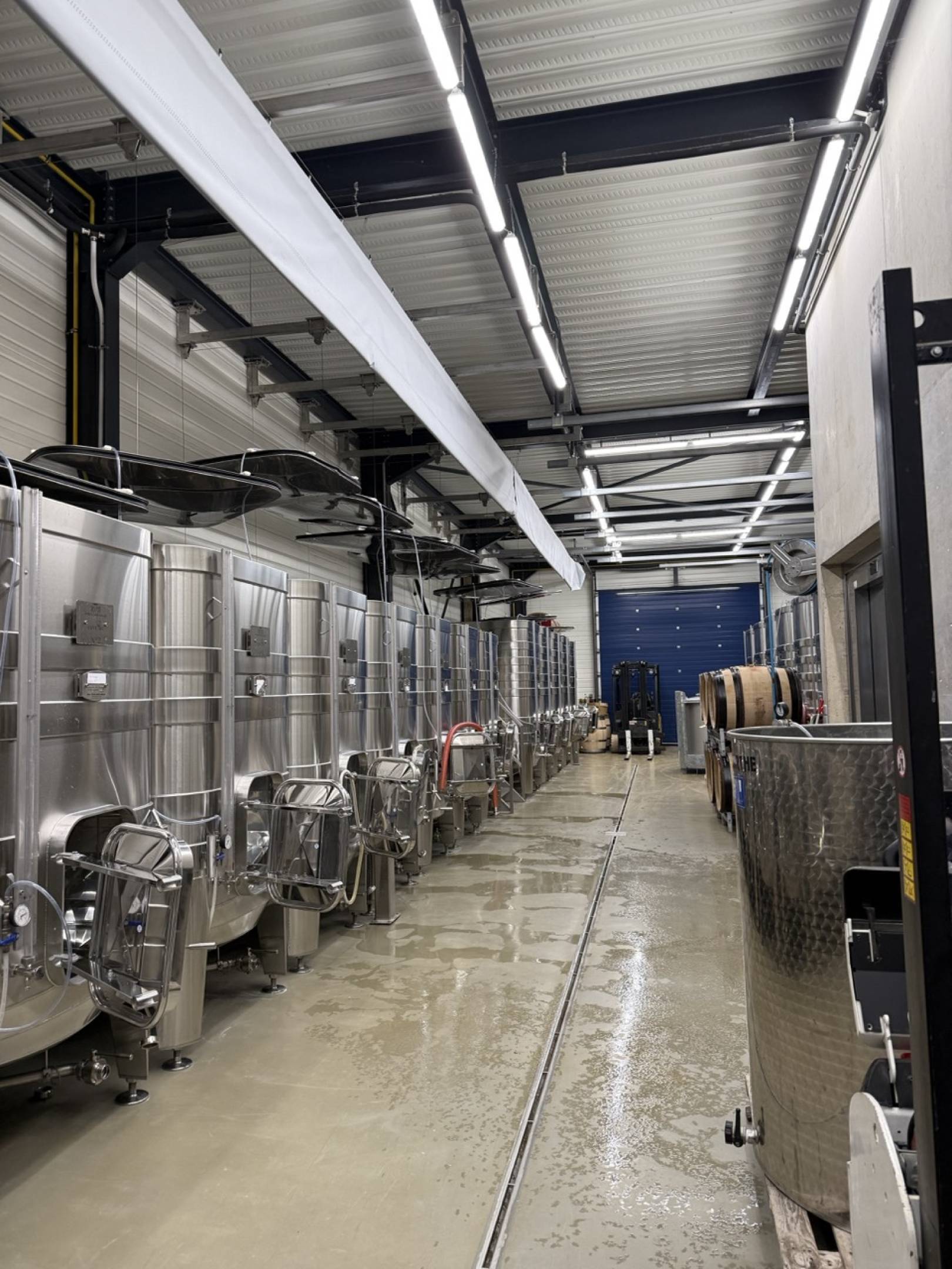 Masterclass d'autore: studiare il terroir con il maestro Liger-Belair