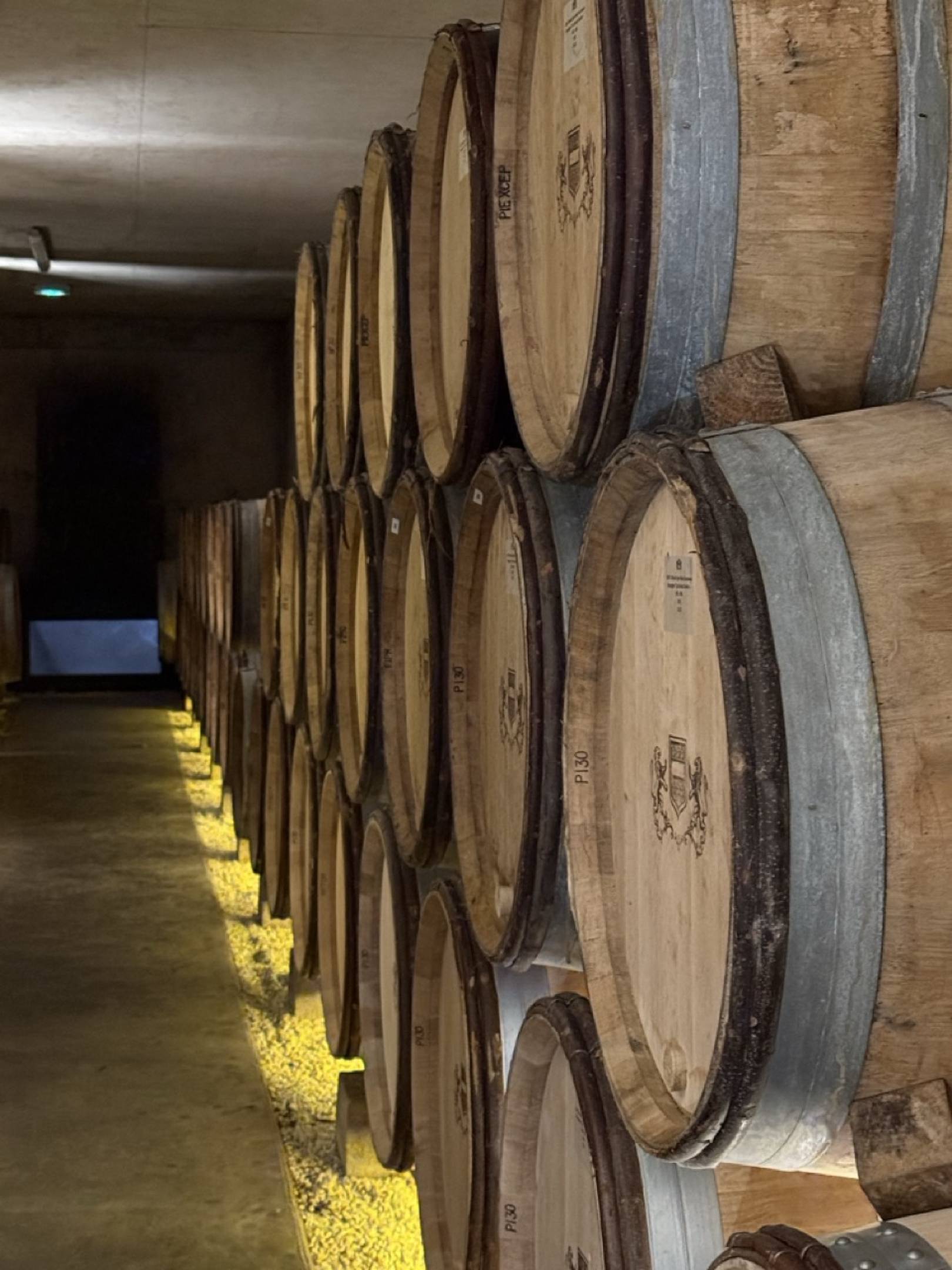 Masterclass d'autore: studiare il terroir con il maestro Liger-Belair