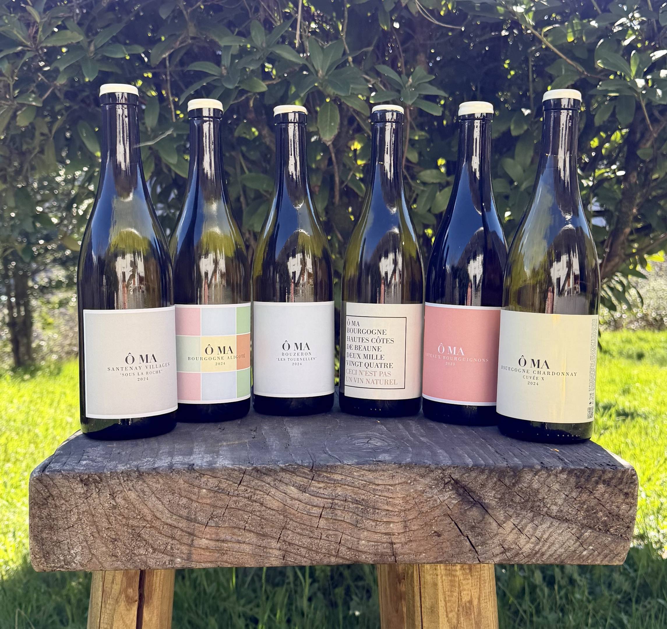 OMA Santenay OMA Santenay Tasting Box Full