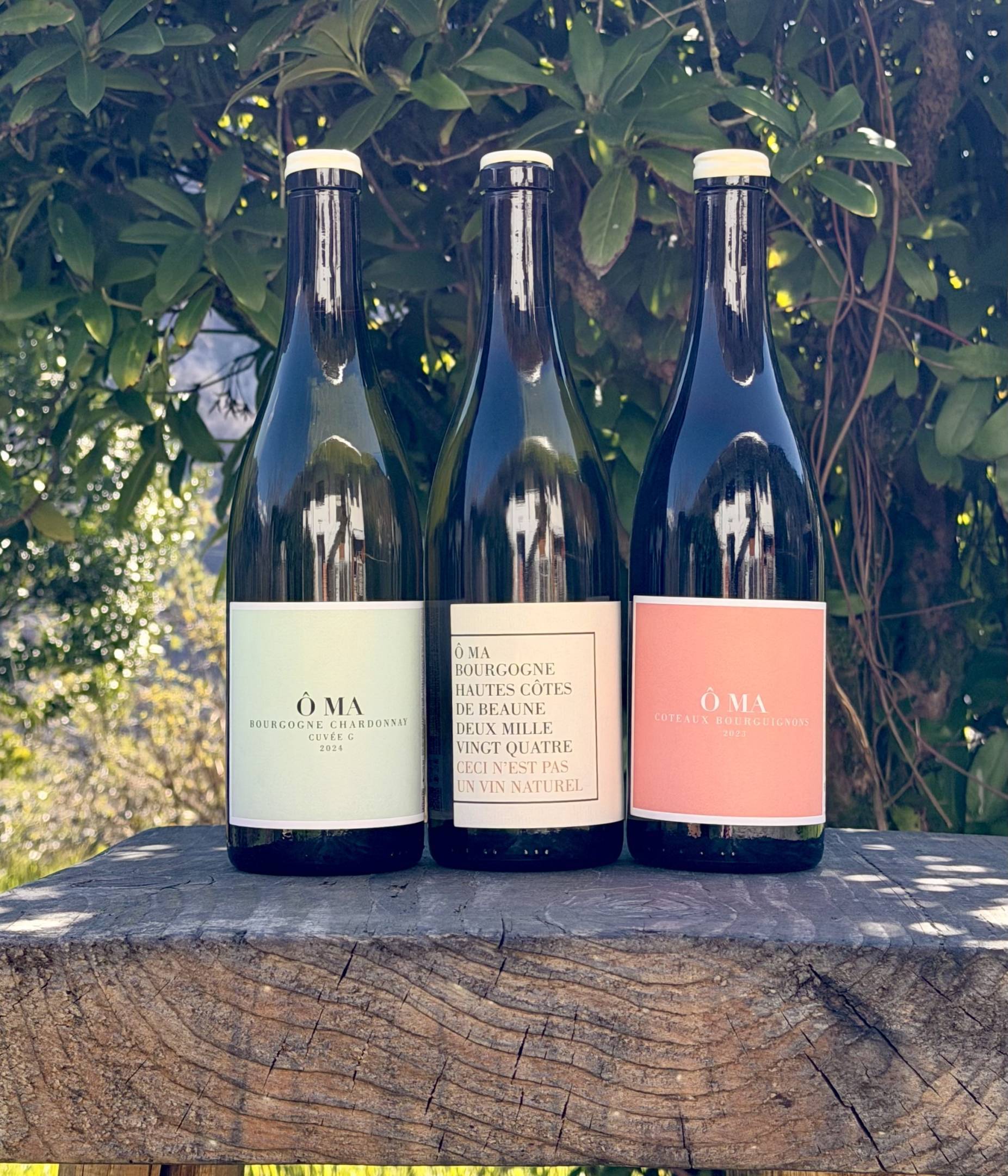 OMA Santenay OMA Tasting Box