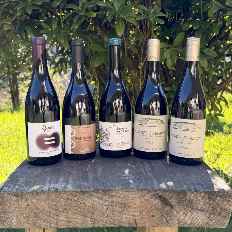 Savigny Tasting Box Full