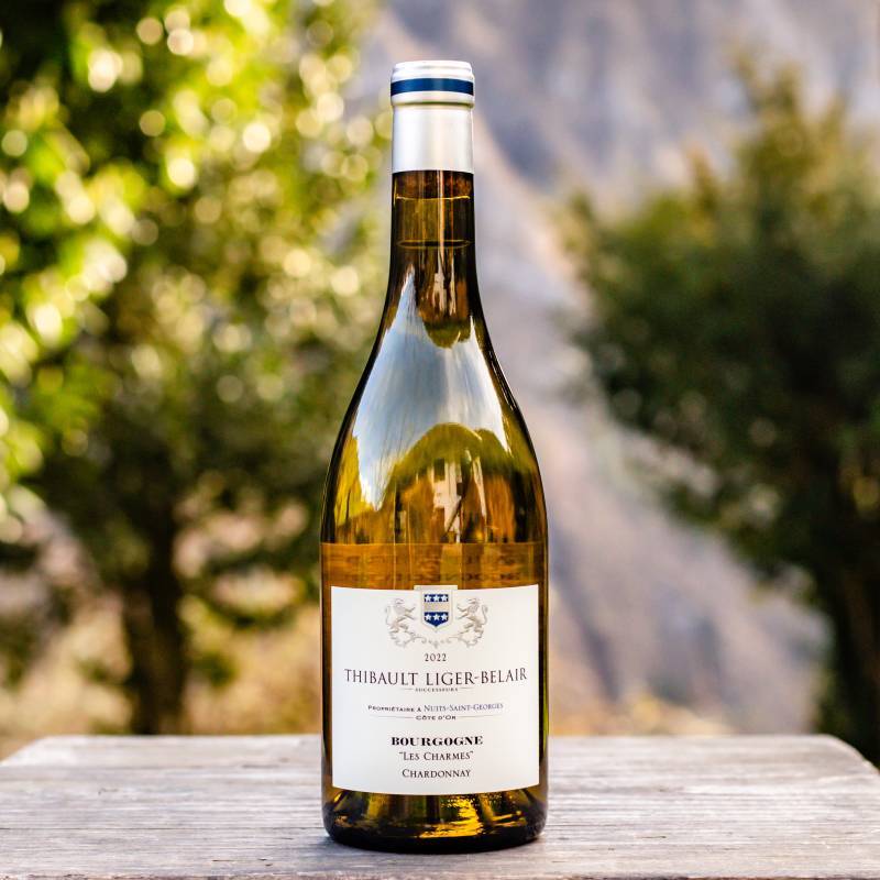 Bourgogne Chardonnay Les Charmes 2022