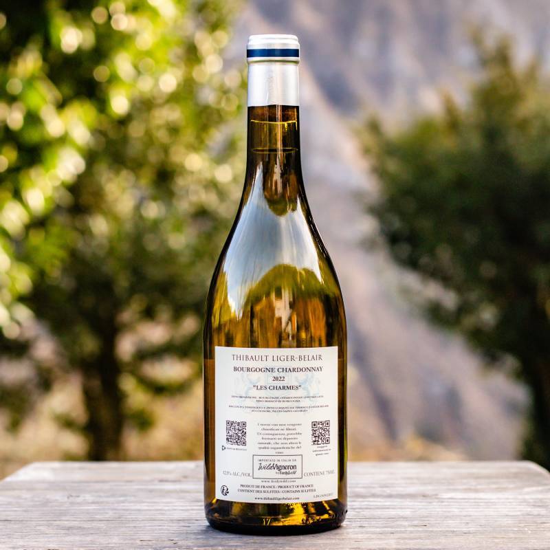 Bourgogne Chardonnay Les Charmes 2022