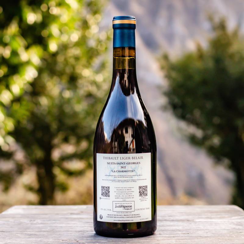 Nuits-Saint-Georges Village La Charmotte 2022