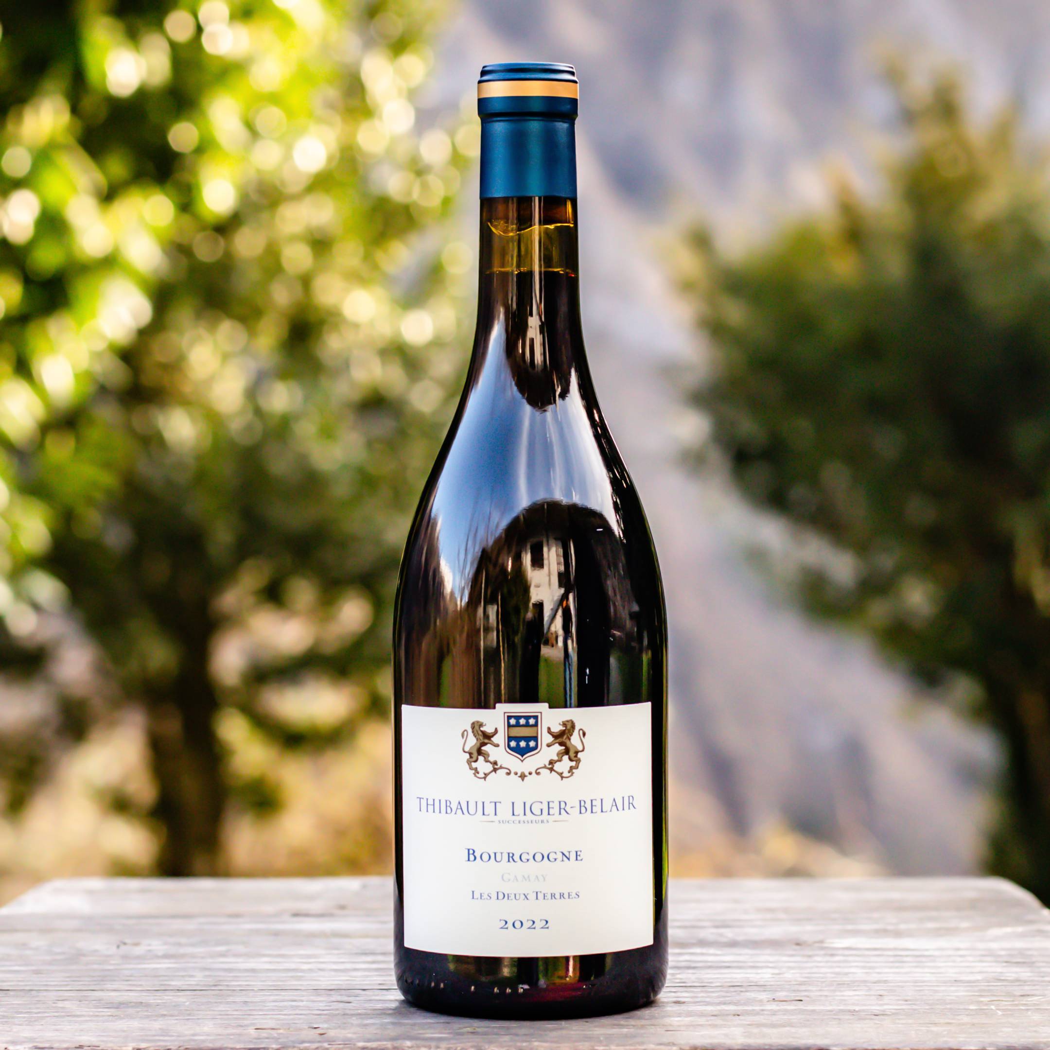 Thibault Liger Belair Bourgogne Gamay Les Deux Terres 2022