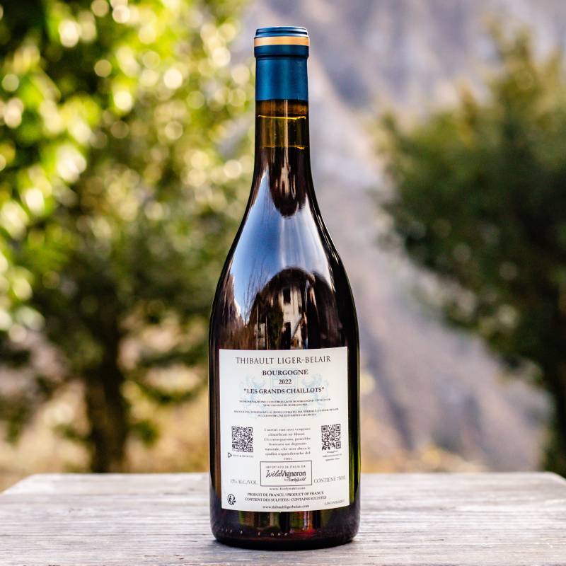 Bourgogne Gamay Les Deux Terres 2022