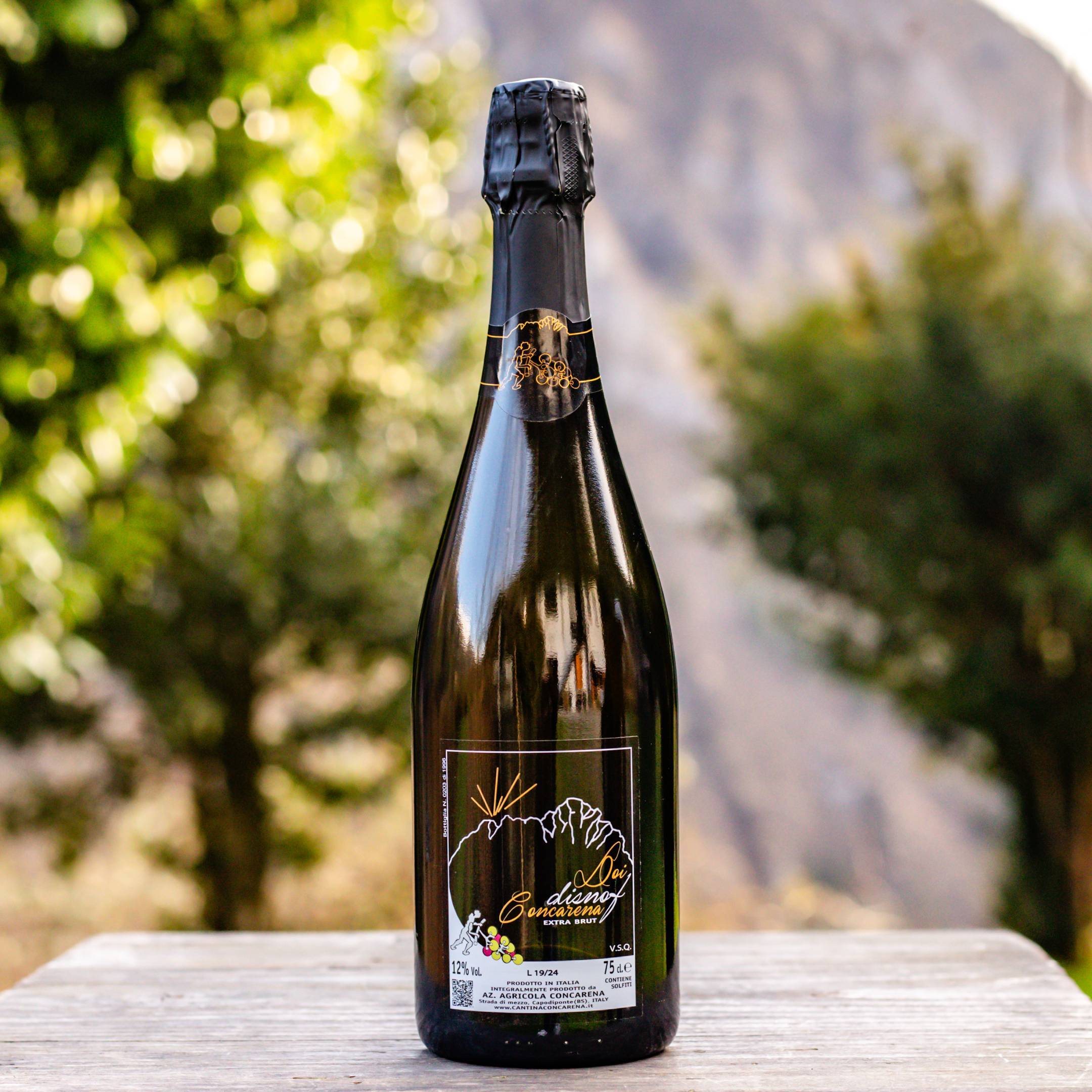 Concarena Doi Disnof