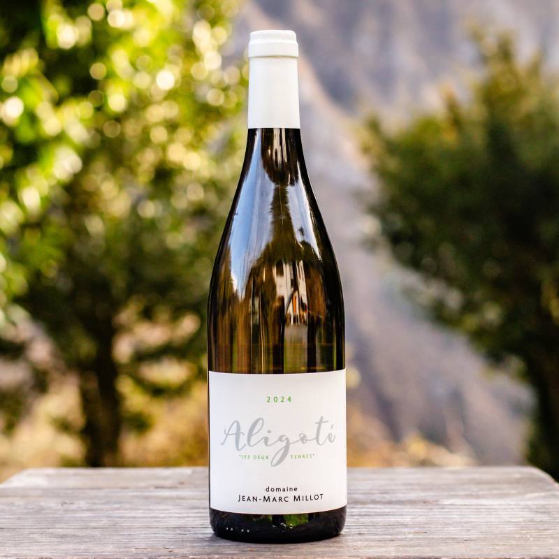Bourgogne Aligote 2024