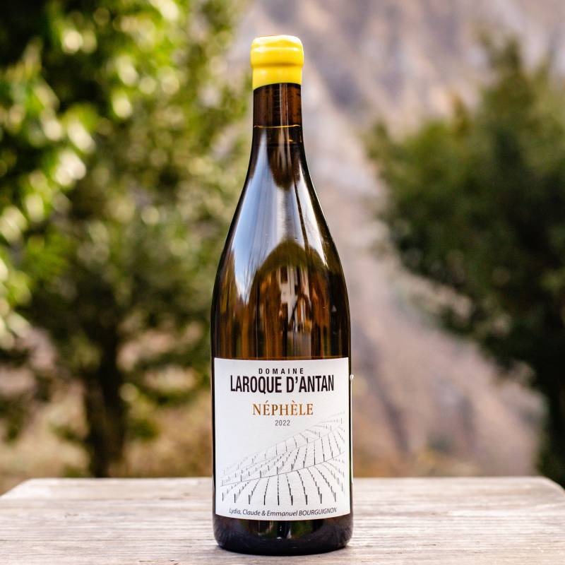 Côtes Du Lot Nephele 2021