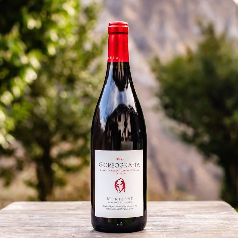 Coreografia Pas de Deux 2021