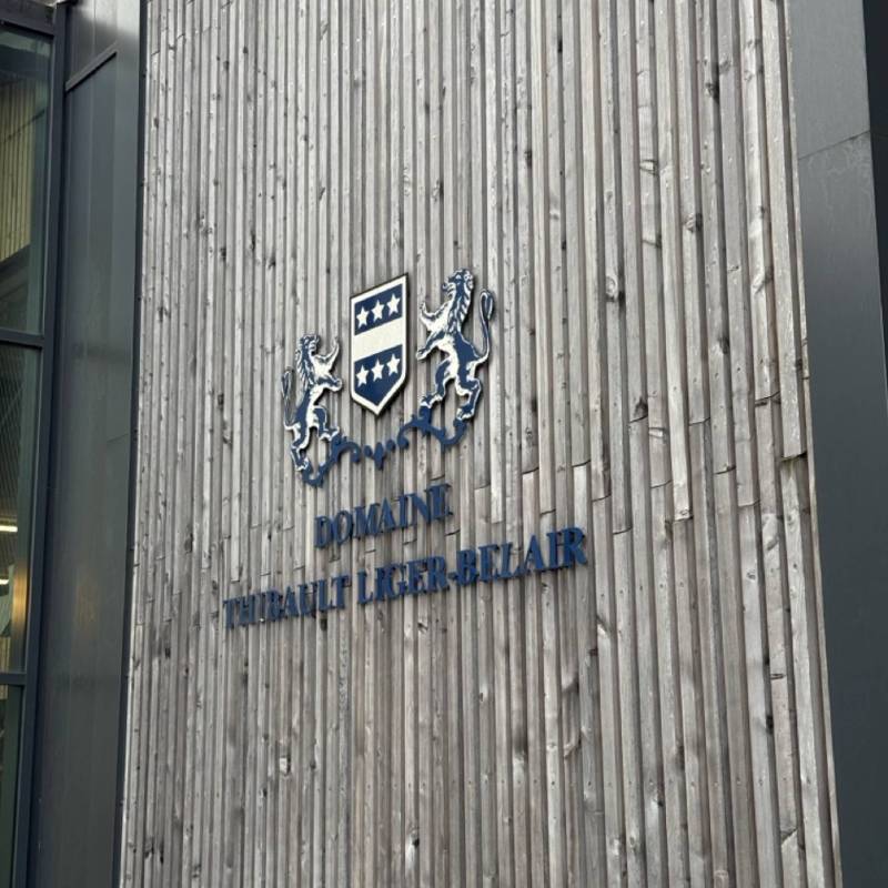 WILD VIGNERON DROP - THIBAULT LIGER-BELAIR