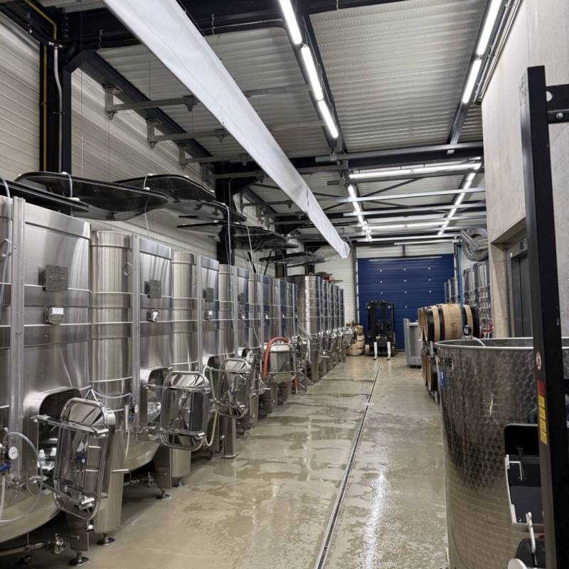 WILD VIGNERON DROP - THIBAULT LIGER-BELAIR