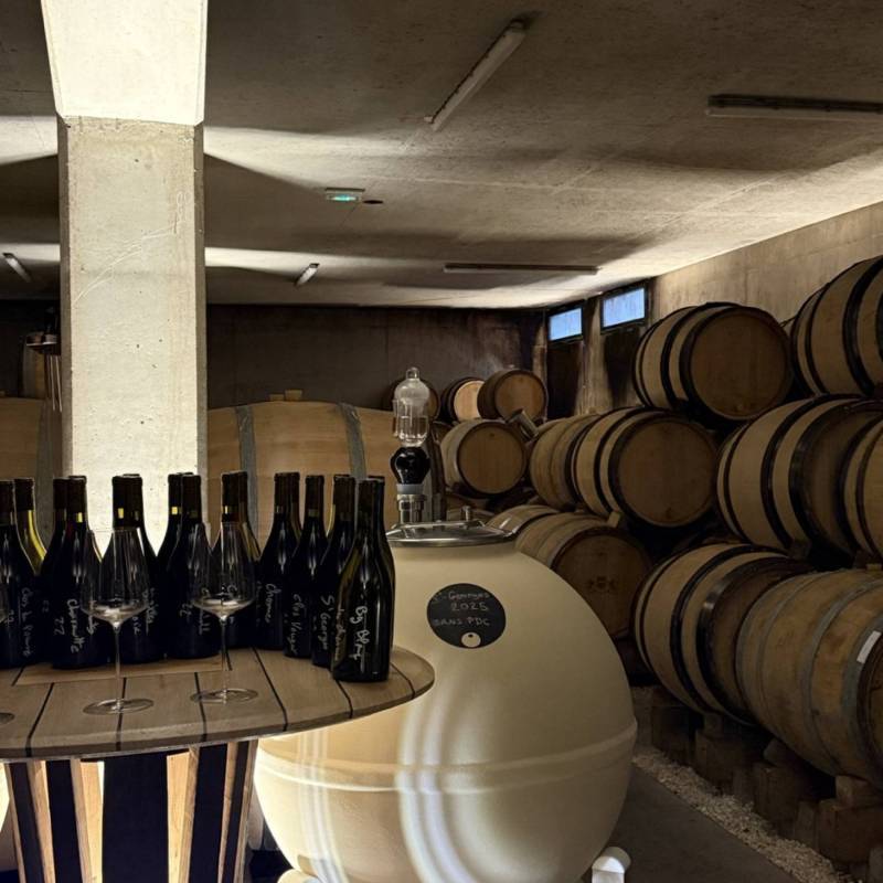 WILD VIGNERON DROP - THIBAULT LIGER-BELAIR