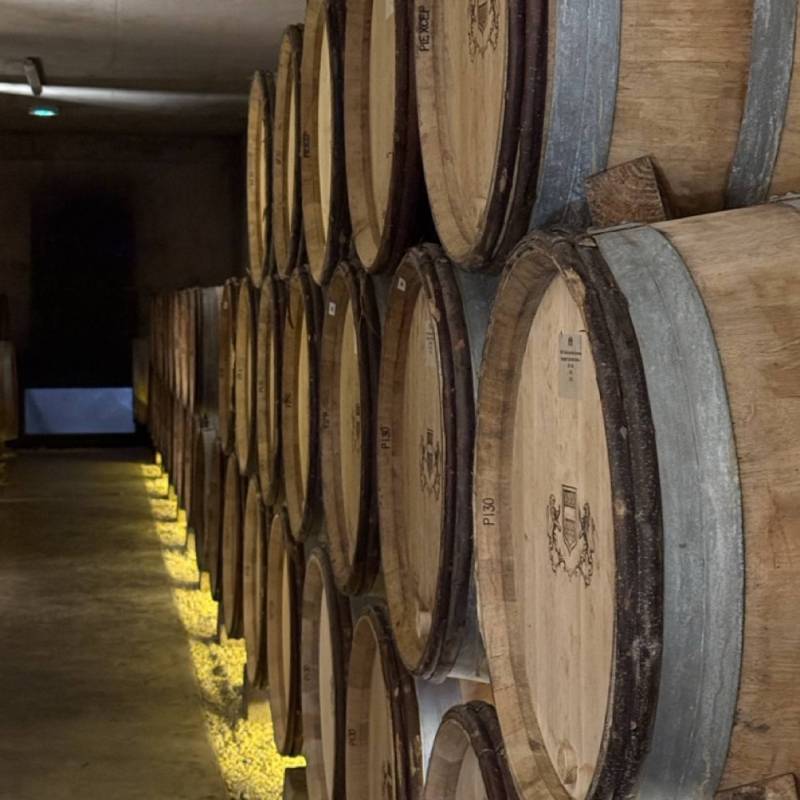 WILD VIGNERON DROP - THIBAULT LIGER-BELAIR