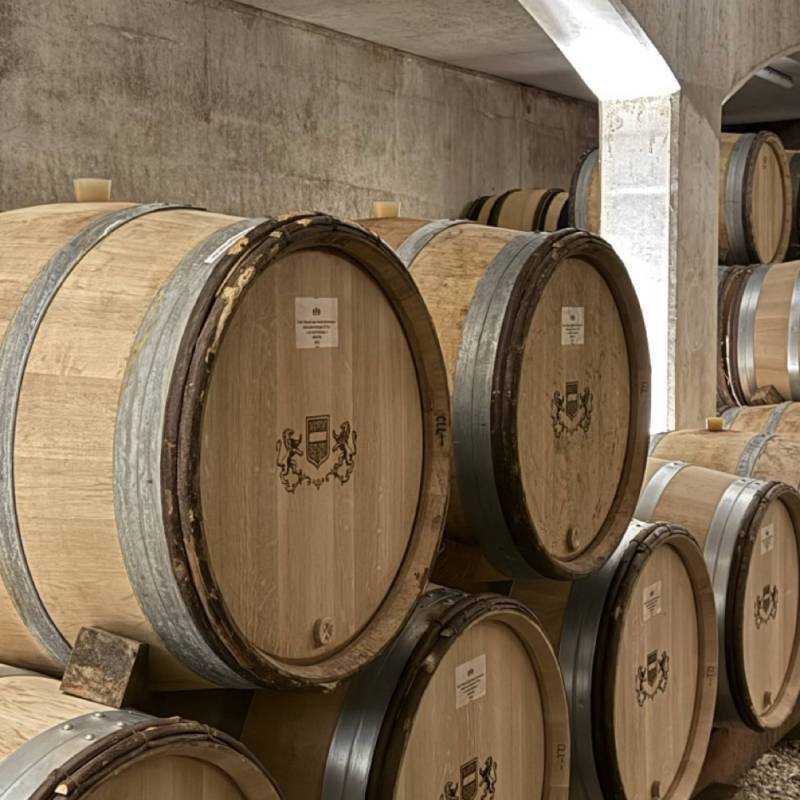 WILD VIGNERON DROP - THIBAULT LIGER-BELAIR