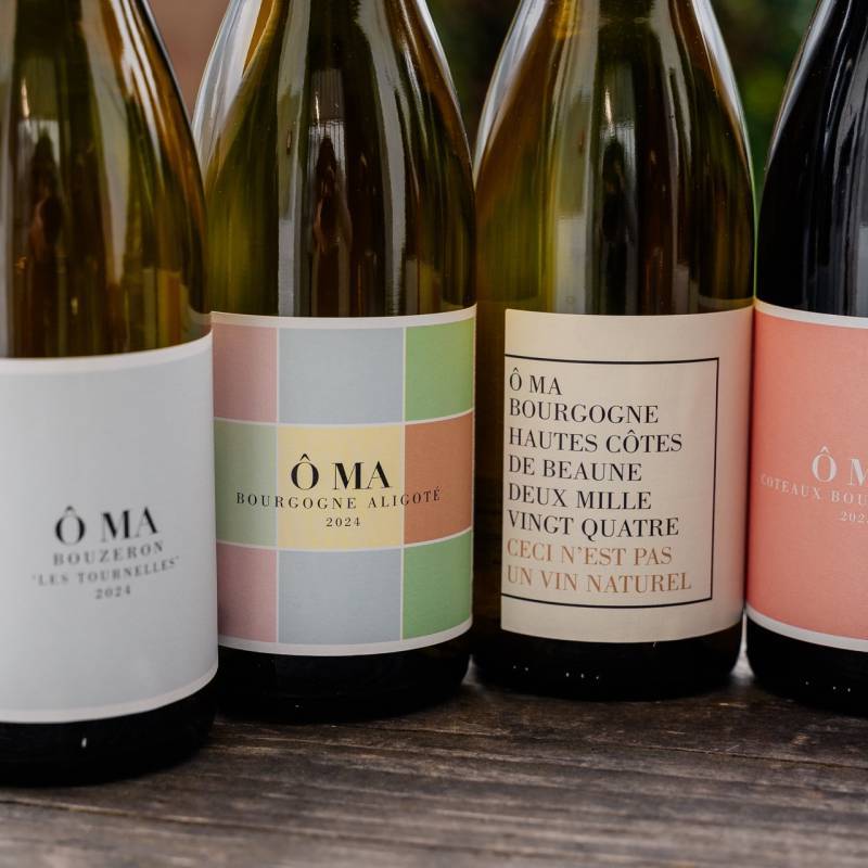 OMA Santenay Tasting Box Full
