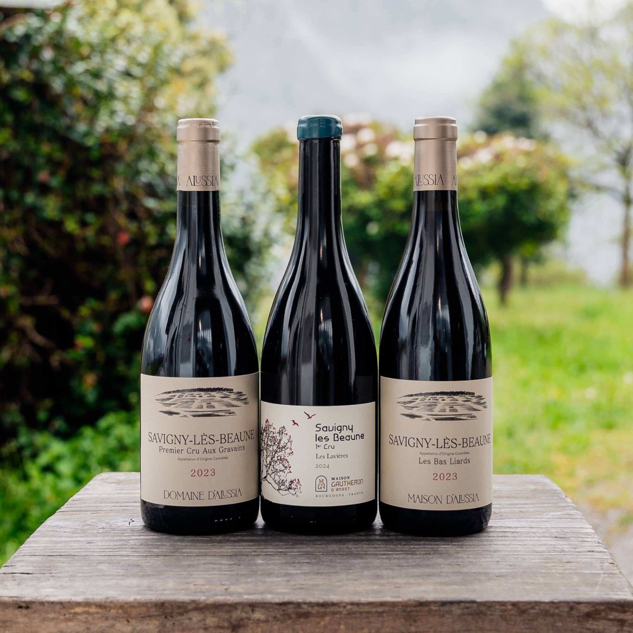 Savigny Tasting Box
