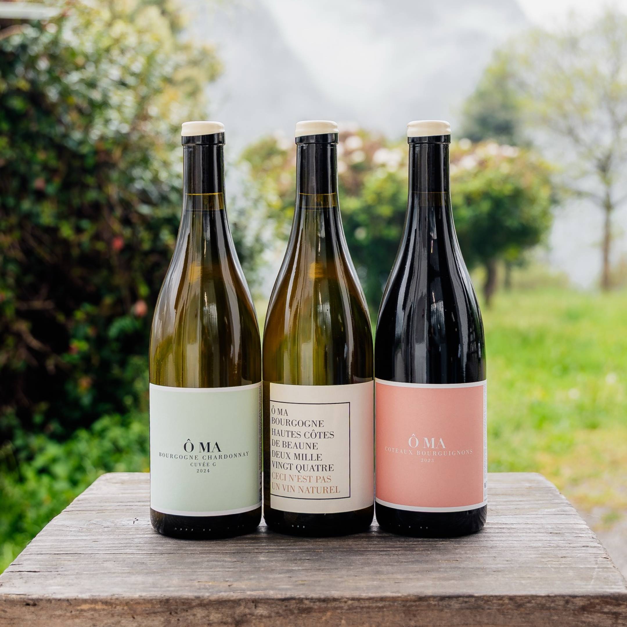 OMA Santenay OMA Tasting Box