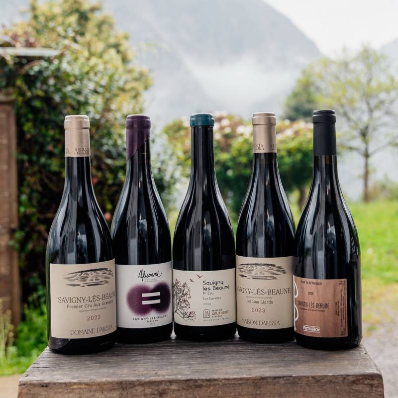 Savigny Tasting Box Full