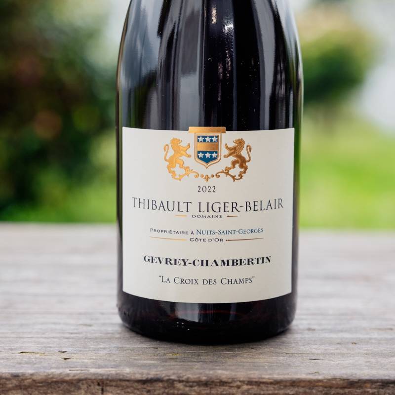 Gevrey-Chambertin La Croix des Champs 2022