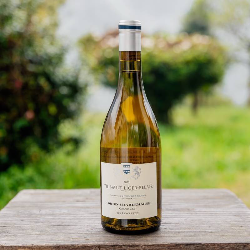 Corton Charlemagne Les Languettes 2022