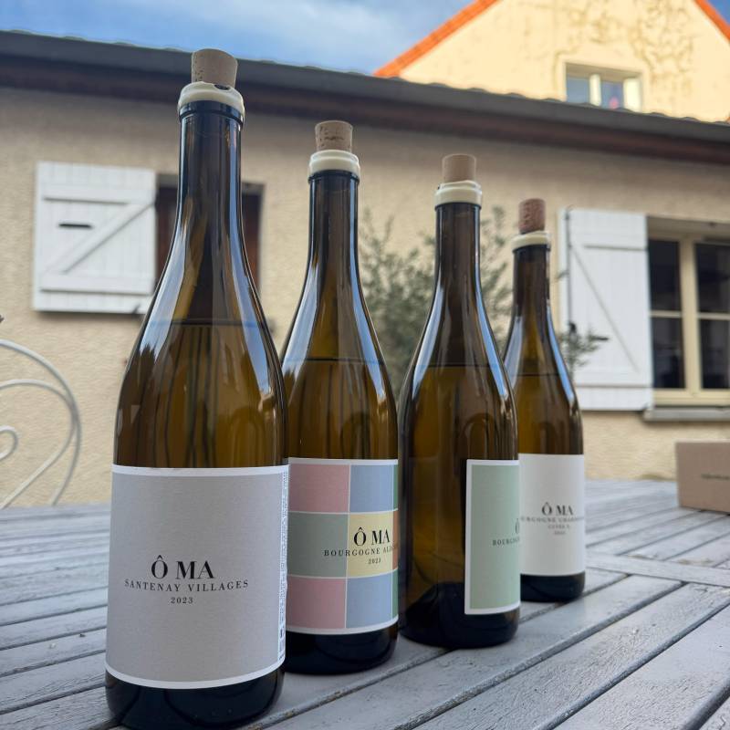 Santenay Villages Blanc 2023