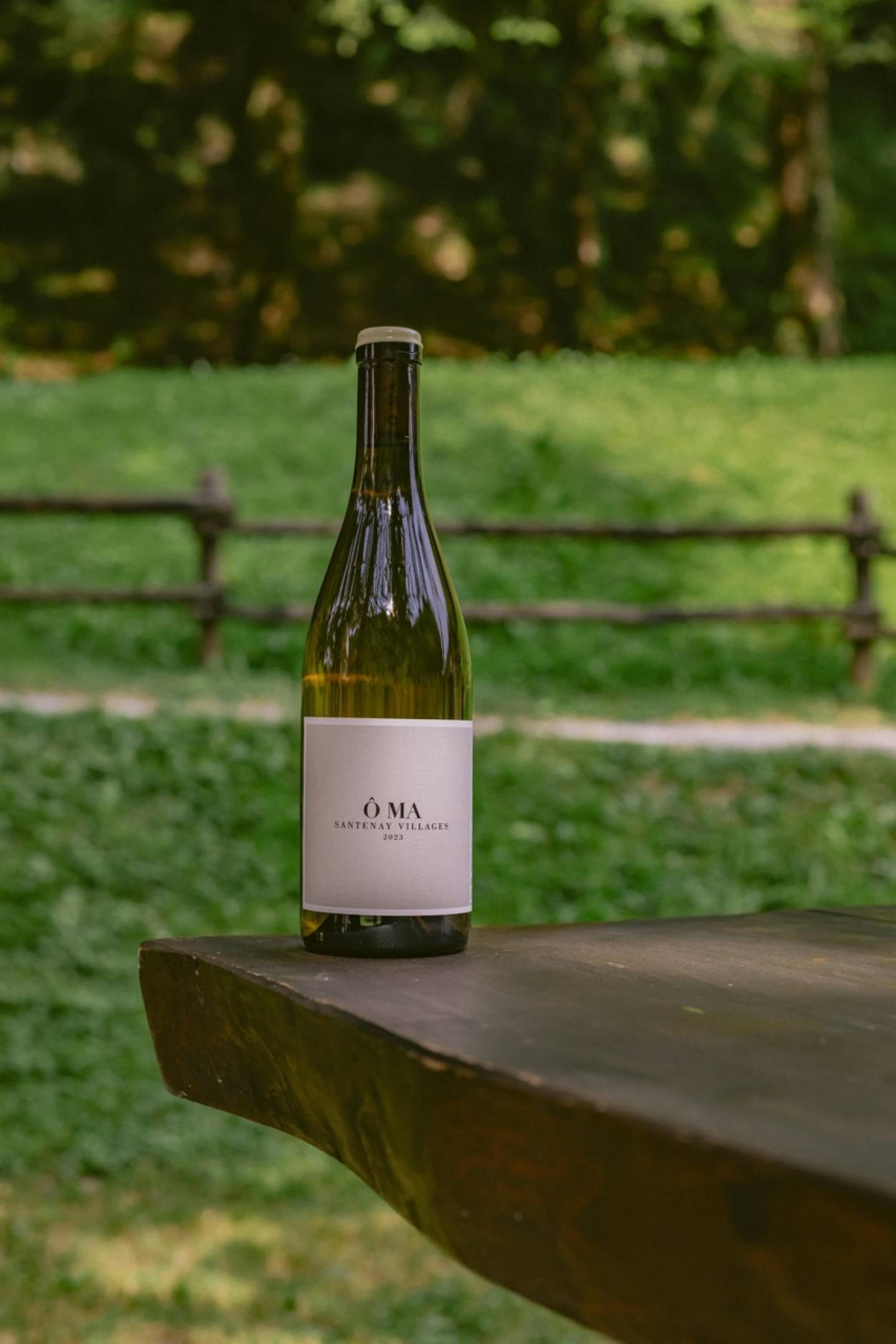 OMA Santenay Santenay Villages Blanc 2023