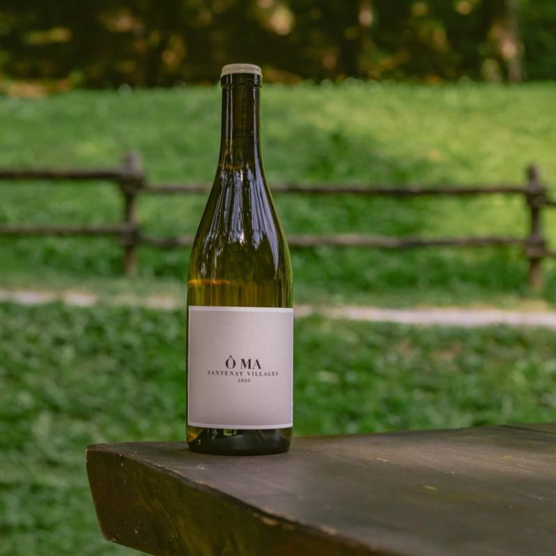 Santenay Villages Blanc 2023
