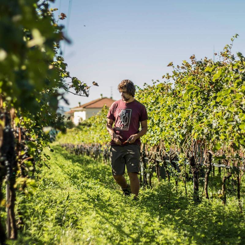 Cuvée IV Extra Brut