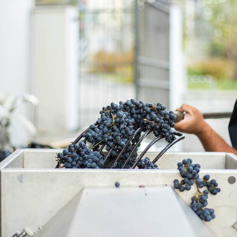 Cuvée IV Extra Brut