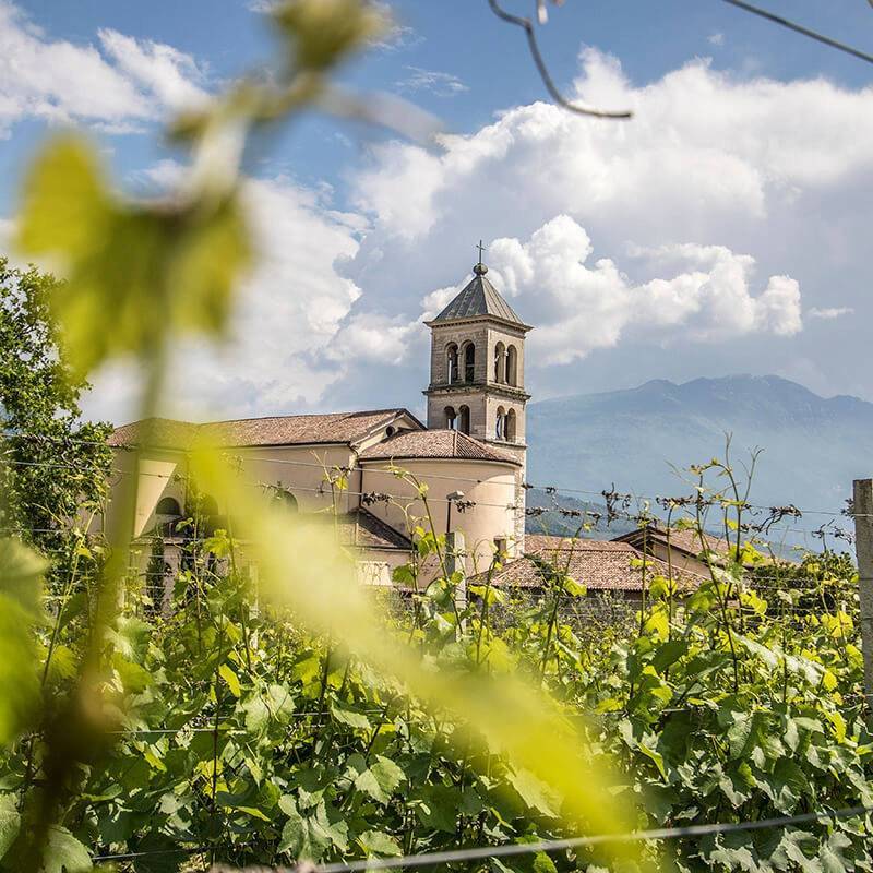 Cuvée IV Extra Brut