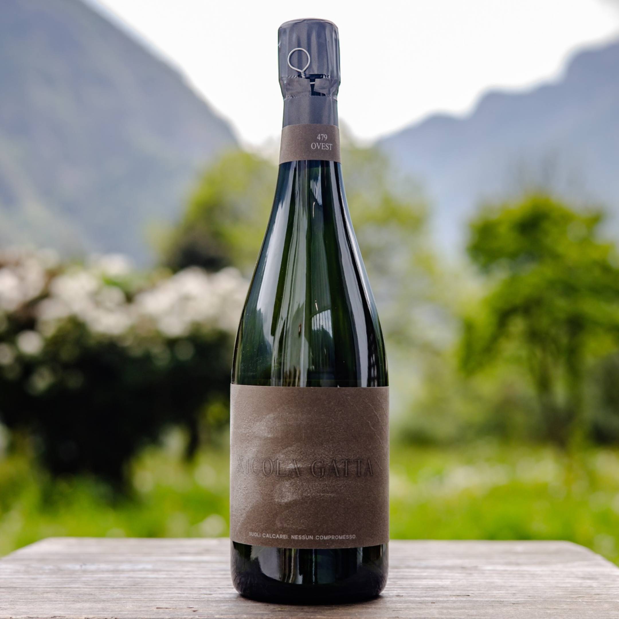 Nicola Gatta 0,75 - Cru Campiani 479