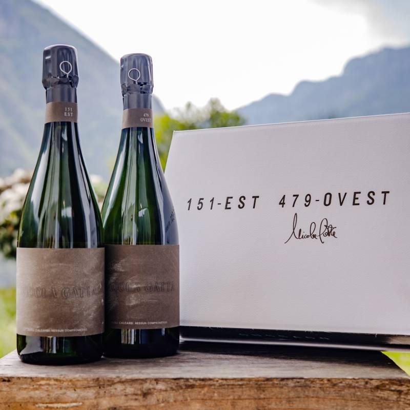 Cru Campiani 151 + Cru Campiani 479