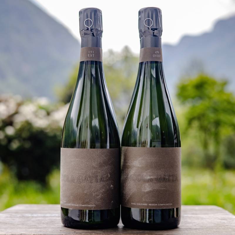 Cru Campiani 151 + Cru Campiani 479