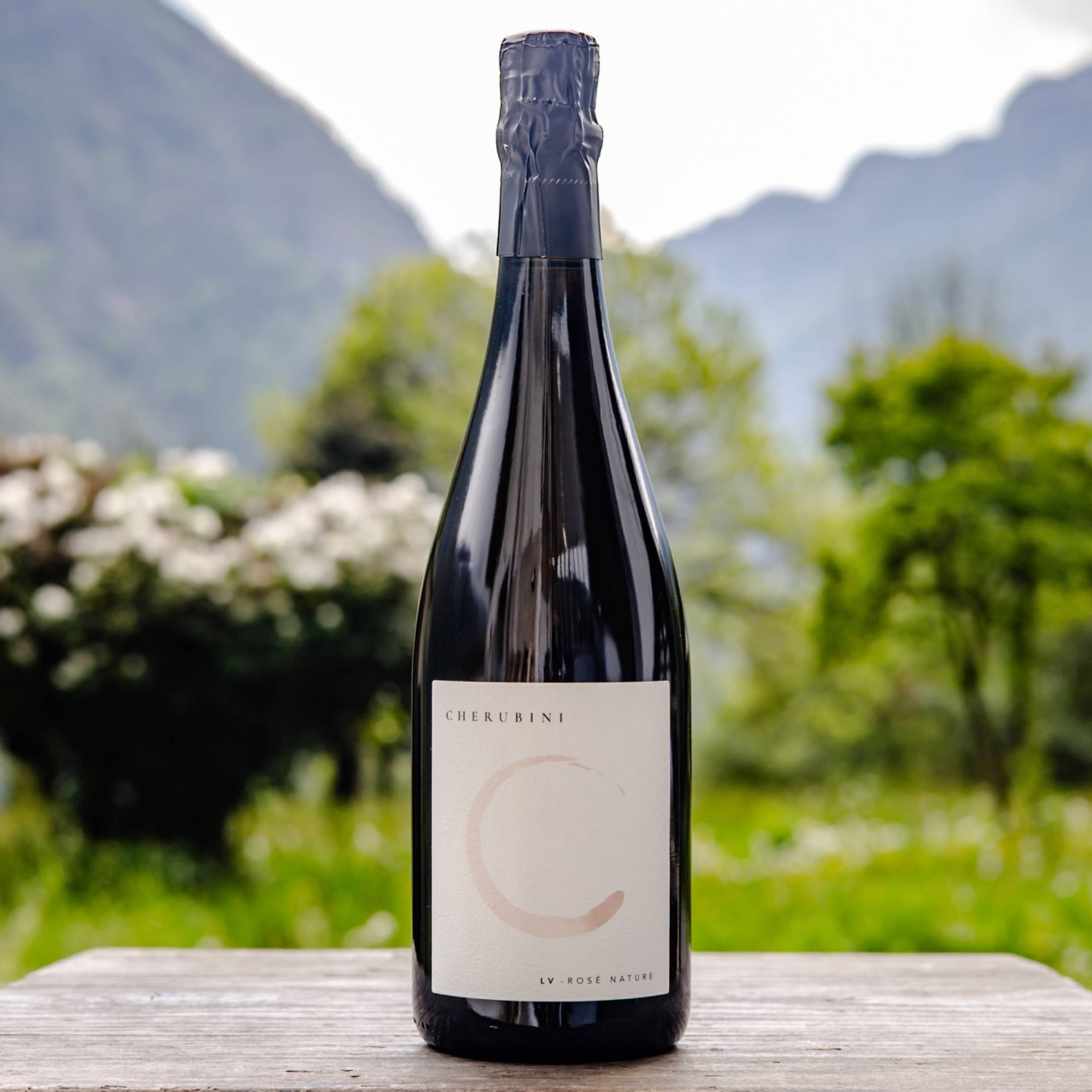 Cherubini Levis Rosè