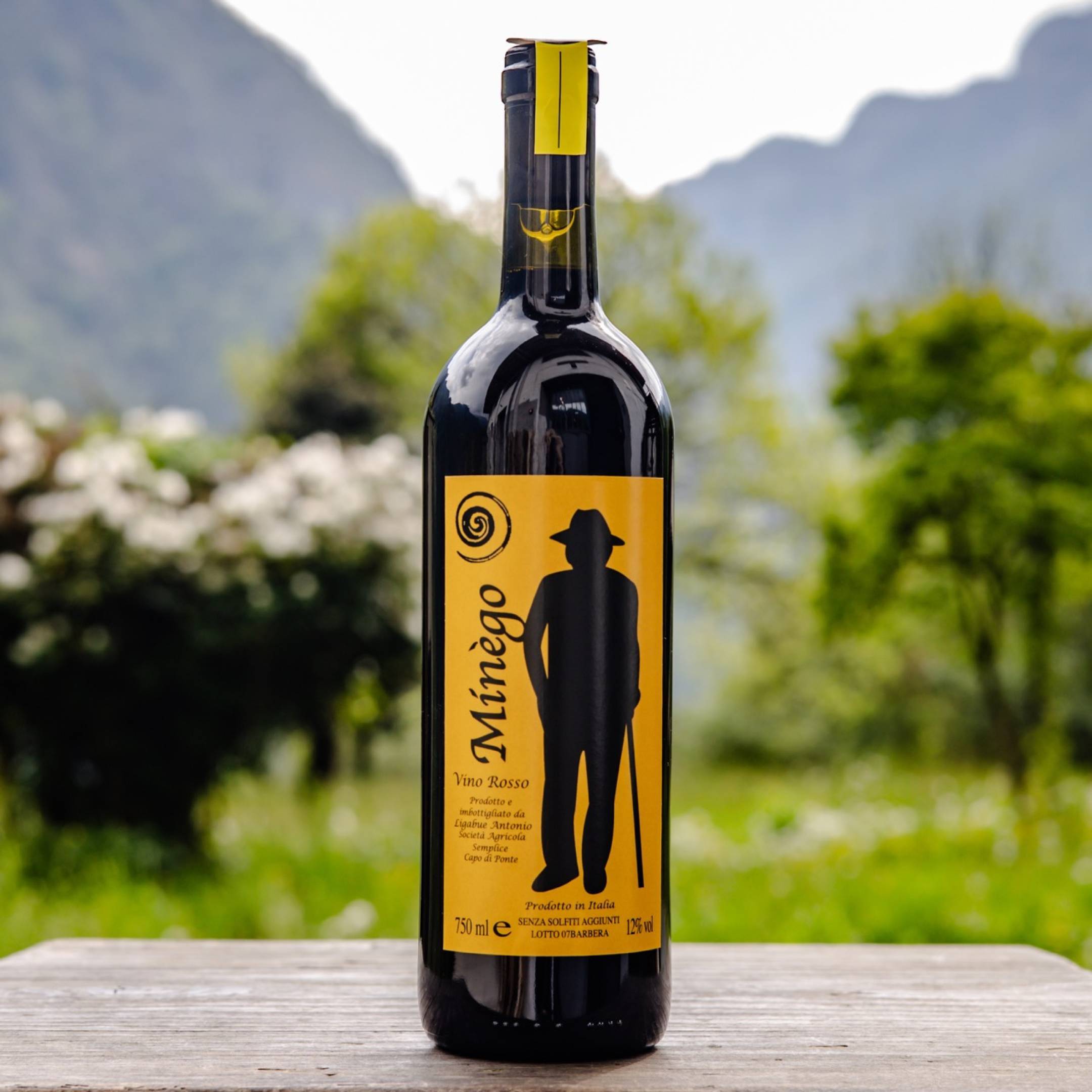 Antonio Ligabue Minego