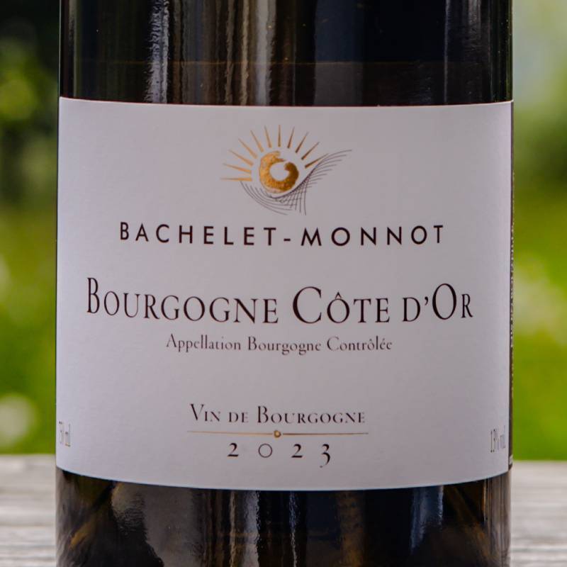 Bourgogne Cote d'Or Blanc 2023