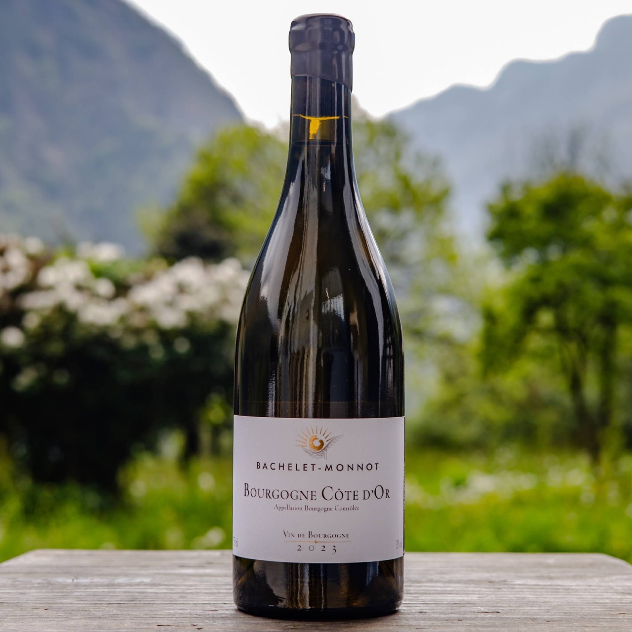 Bachelet Monnot Bourgogne Cote d'Or Blanc