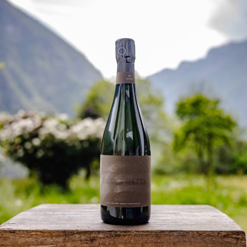 0,75 - Cru Campiani 479