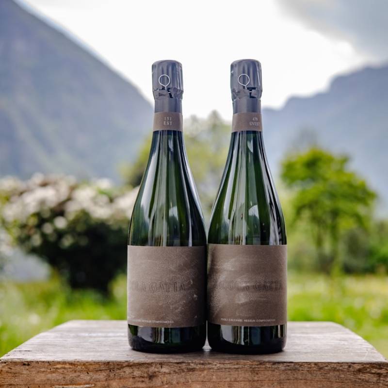 Cru Campiani 151 + Cru Campiani 479