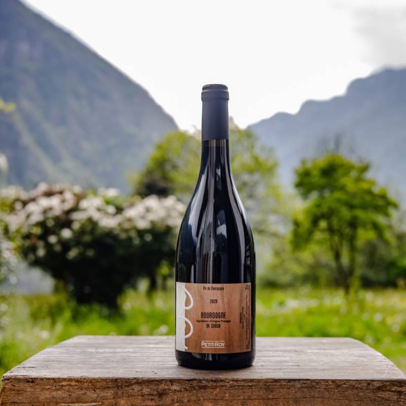 Bourgogne Rouge De Sousa 2020