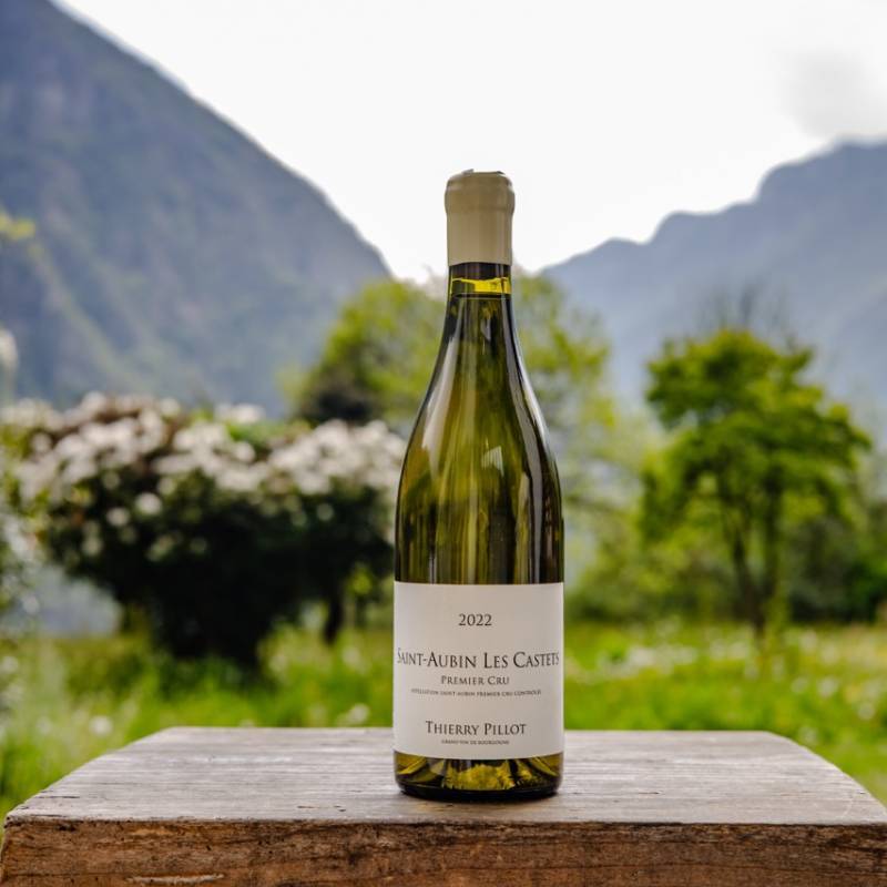 Saint Aubin 1er Cru Les Castets 2022